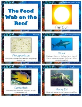 Preview of Welcome to the Coral Reef