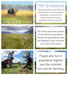 Preview of Welcome to the Grasslands - Habitat Studies