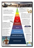 Well being Survey and Pyramid