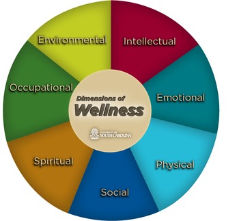 Preview of Wellness Unit Plan