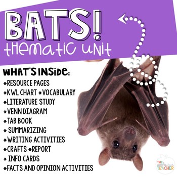 Preview of Bat Activities