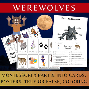 Preview of Werewolves/Montessori 3 Part Cards/Informational Text/Coloring Pages