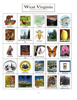Preview of West Virginia Bingo:  State Symbols and Popular Sites