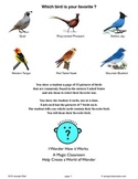 Western States Bird Lesson and Bird Prediction Trick