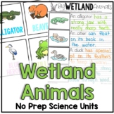 Wetland Animal Facts and Habitat