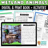 Wetlands Animals Activities Directed Drawing PowerPoint Go