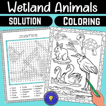 Wetland Animals Activities | Word Search - Coloring Page | TPT