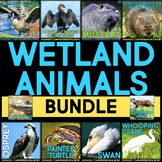 Wetland Animals BUNDLE: Nonfiction Animal Research & Compr