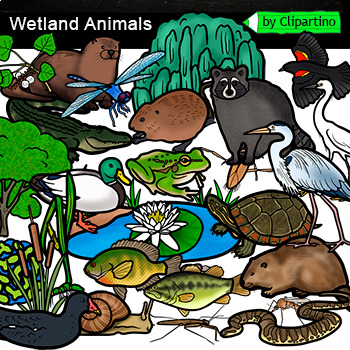 Preview of Wetland Animals Clip Art Commercial use /Wetland Habitats Clip Art