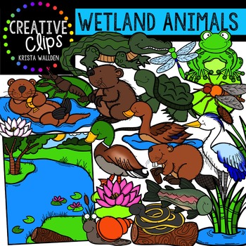 wetland animals and plants for kids