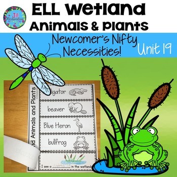 Preview of Wetland Animals & Plants  Vocabulary for Beginners Lesson Plans ELL Science