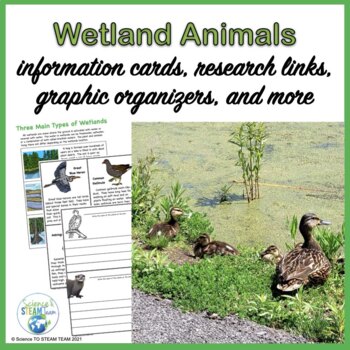 Preview of Wetland Animals Information Cards and Research Project