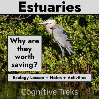 Preview of Wetland & Estuary Ecosystems | Ecology & Human Impact | Lesson/Notes +Activities