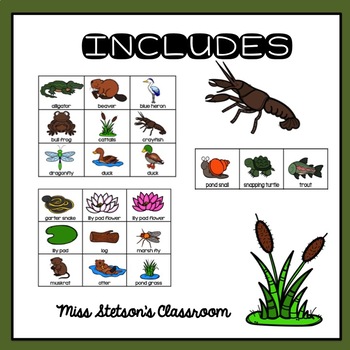 Wetland Habitat - Plants and Animals by Cultivating Curious Minds