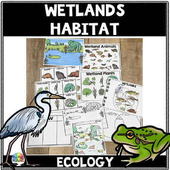 Preview of Wetland Habitat and Ecosystem | Reading and Science Ecology