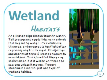 The Wetlands The Uplands  Eco-System Classroom NEW CLASSROOM SCIENCE POSTER 