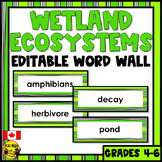 Wetland Ecosystems Vocabulary | Editable Word Wall