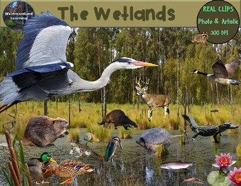 Preview of Wetlands Animals Clip Art Habitat Biome Real Clips Photo & Artistic