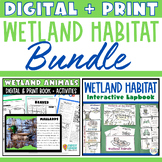 Wetlands Animals Habitat Passages PowerPoint Google Slides