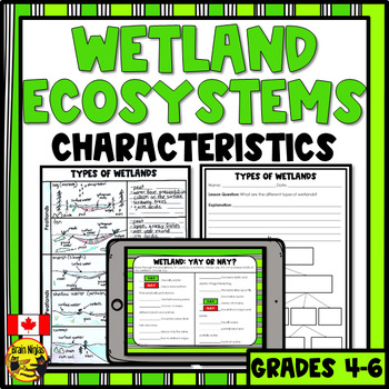 Preview of Wetland Ecosystems | Descriptions , Types and Characteristics