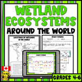 Wetland Ecosystems | Ecosystems Around the World