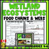 Wetland Ecosystems | Food Chains and Food Webs | Producers