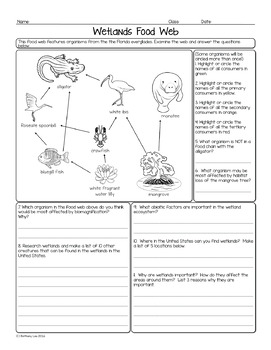 Wetlands Food Web Biology Homework Worksheet by Science With Mrs Lau
