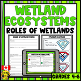 Wetland Ecosystems | The Importance and Roles of Wetlands