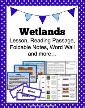 Preview of Wetlands: Lesson, Reading Passage, Foldable Notes, Word Wall & more...