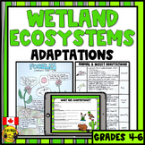Wetland Ecosystems | Physical and Behavioural Adaptations