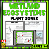 Wetland Ecosystems | Plant Zones and Water Plants in Wetlands