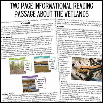 Wetlands (Swamps and Marshes) Reading Comprehension and Differentiated