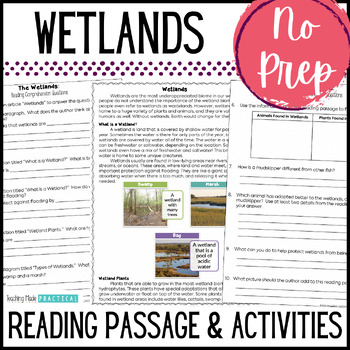 Preview of Wetlands (Swamps and Marshes) Habitat Reading Comprehension Passage, Worksheets