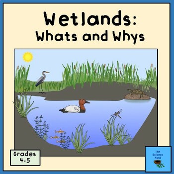 Preview of Wetlands: Whats and Whys