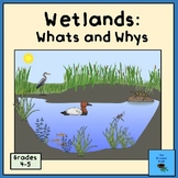 Wetlands: Whats and Whys