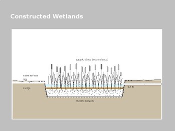 types of constructed wetlands