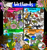Wetlands biome/habitat clip art-118 items!