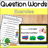 Wh Question Words Exercise
