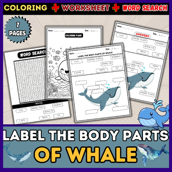 Preview of Whale Anatomy Activities: Word Search, Labeling, Worksheet, Coloring Pages