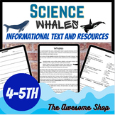 Whale Comprehension Passage With Worksheets for 4th & 5th 