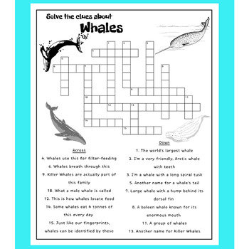 Whale Crossword Puzzle by Maple Minds TPT