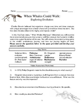 Preview of Whale Evolution: When Whales Could Walk!