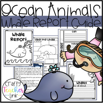 Preview of Whale Report Guide