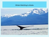 Whales Unit PowerPoint