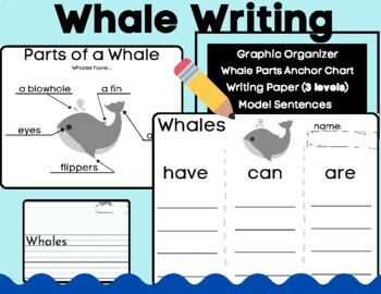 Preview of Whale Writing and Labeling- Informative (Have Can Are) w/ Anchor Charts Ocean