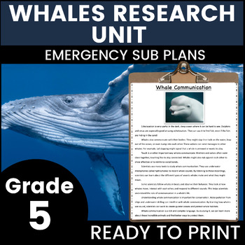 Preview of Whales 5th Grade Emergency Sub Plans Math English Science Substitute Binder