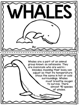 Download Whales Informational Coloring Book With Comprehension Questions Tpt