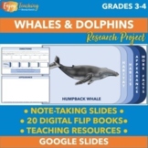 Whales & Dolphins Research Project Templates - Google Slides