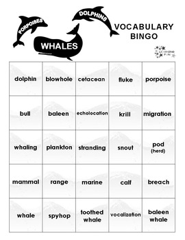 Dolphins Bingo