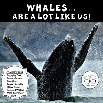 Preview of Whales Informational Text, Art, Game, Discussion Q & A